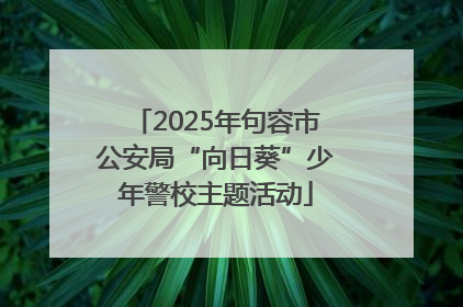2025年句容市公安局“向日葵”少年警校主题活动