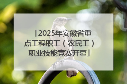 2025年安徽省重点工程职工（农民工）职业技能竞赛开幕