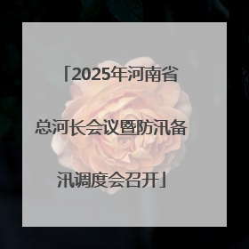 2025年河南省总河长会议暨防汛备汛调度会召开