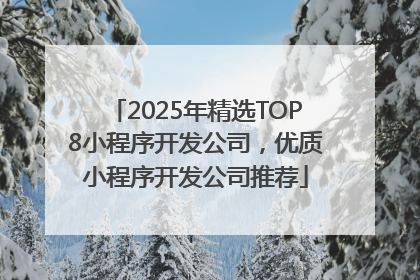 2025年精选TOP8小程序开发公司，优质小程序开发公司推荐