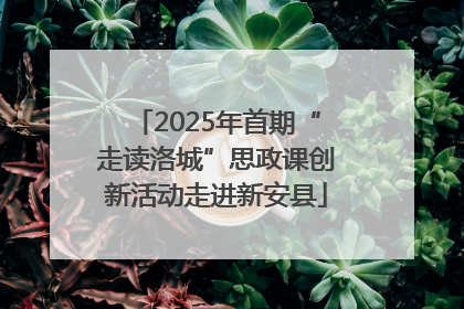 2025年首期“走读洛城”思政课创新活动走进新安县