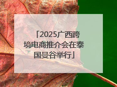 2025广西跨境电商推介会在泰国曼谷举行