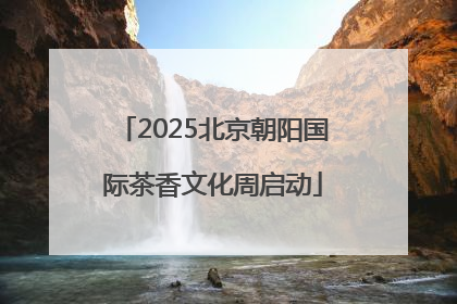 2025北京朝阳国际茶香文化周启动