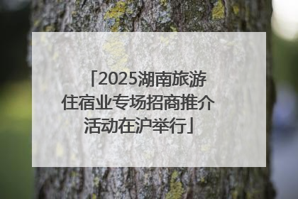 2025湖南旅游住宿业专场招商推介活动在沪举行