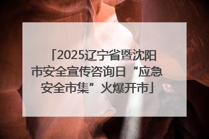 2025辽宁省暨沈阳市安全宣传咨询日“应急安全市集”火爆开市