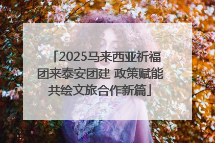 2025马来西亚祈福团来泰安团建 政策赋能共绘文旅合作新篇