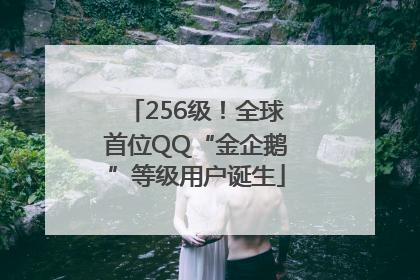 256级！全球首位QQ“金企鹅”等级用户诞生