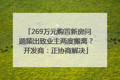 269万元购置新房问题频出致业主两度搬离？开发商：正协商解决