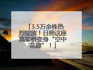 3.5万余株热烈绽放！日照这座高架桥变身“空中花廊”！