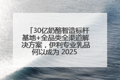 30亿奶酪智造标杆基地+全品类全渠道解决方案，伊利专业乳品何以成为 2025 焙烤展 MV