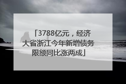 3788亿元，经济大省浙江今年新增债务限额同比涨两成