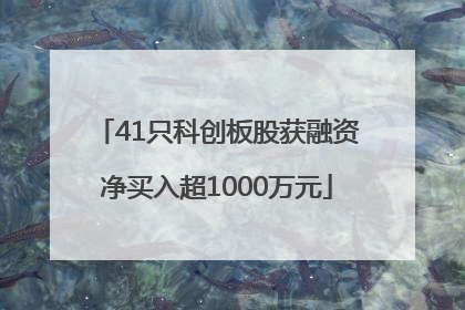 41只科创板股获融资净买入超1000万元