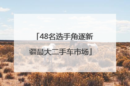 48名选手角逐新疆最大二手车市场