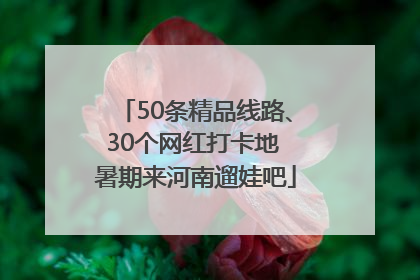 50条精品线路、30个网红打卡地 暑期来河南遛娃吧