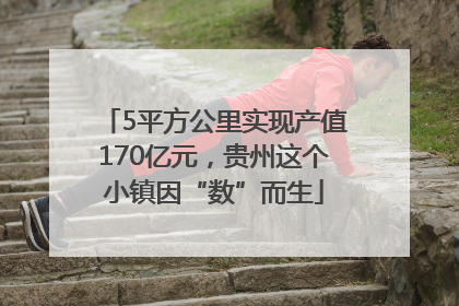 5平方公里实现产值170亿元，贵州这个小镇因“数”而生