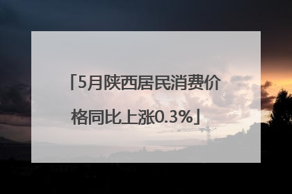 5月陕西居民消费价格同比上涨0.3%