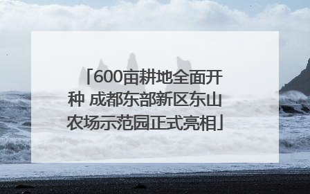 600亩耕地全面开种 成都东部新区东山农场示范园正式亮相