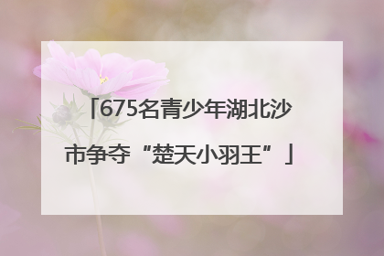 675名青少年湖北沙市争夺“楚天小羽王”