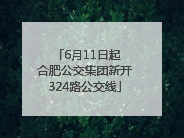 6月11日起 合肥公交集团新开324路公交线