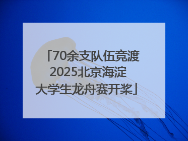 70余支队伍竞渡 2025北京海淀大学生龙舟赛开桨