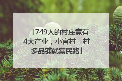 749人的村庄竟有4大产业，小官村一村多品铺就富民路