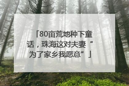 80亩荒地种下童话，珠海这对夫妻“为了家乡我愿意”