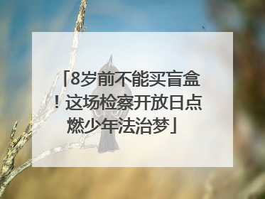 8岁前不能买盲盒！这场检察开放日点燃少年法治梦