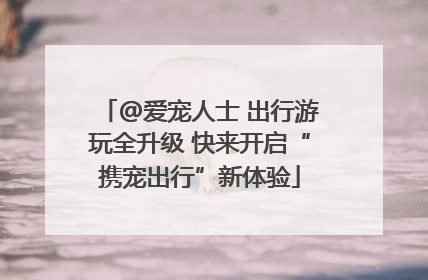 @爱宠人士 出行游玩全升级 快来开启“携宠出行”新体验