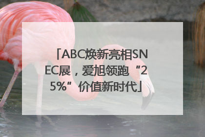 ABC焕新亮相SNEC展，爱旭领跑“25%”价值新时代