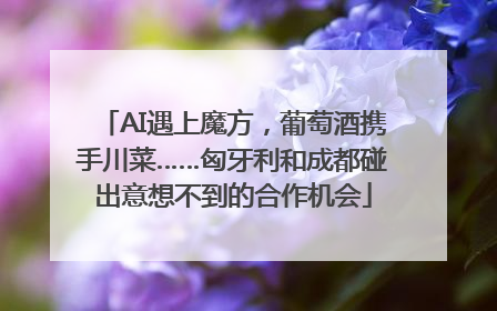 AI遇上魔方，葡萄酒携手川菜……匈牙利和成都碰出意想不到的合作机会