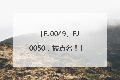 FJ0049、FJ0050，被点名！