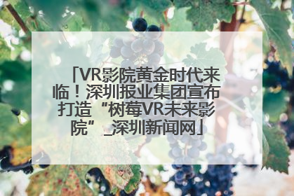 VR影院黄金时代来临！深圳报业集团宣布打造“树莓VR未来影院”_深圳新闻网